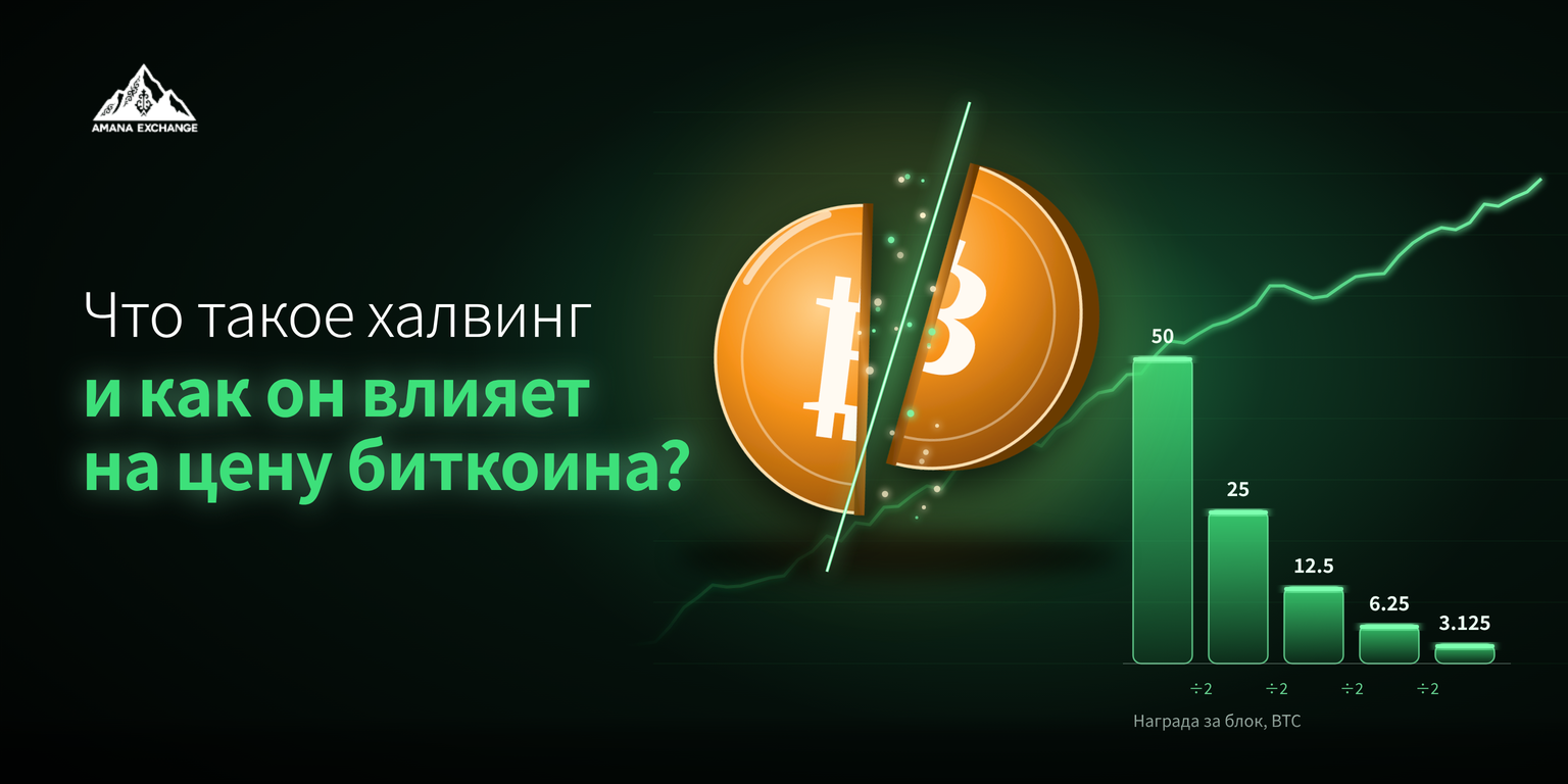 Что такое халвинг и как он влияет на цену биткоина?